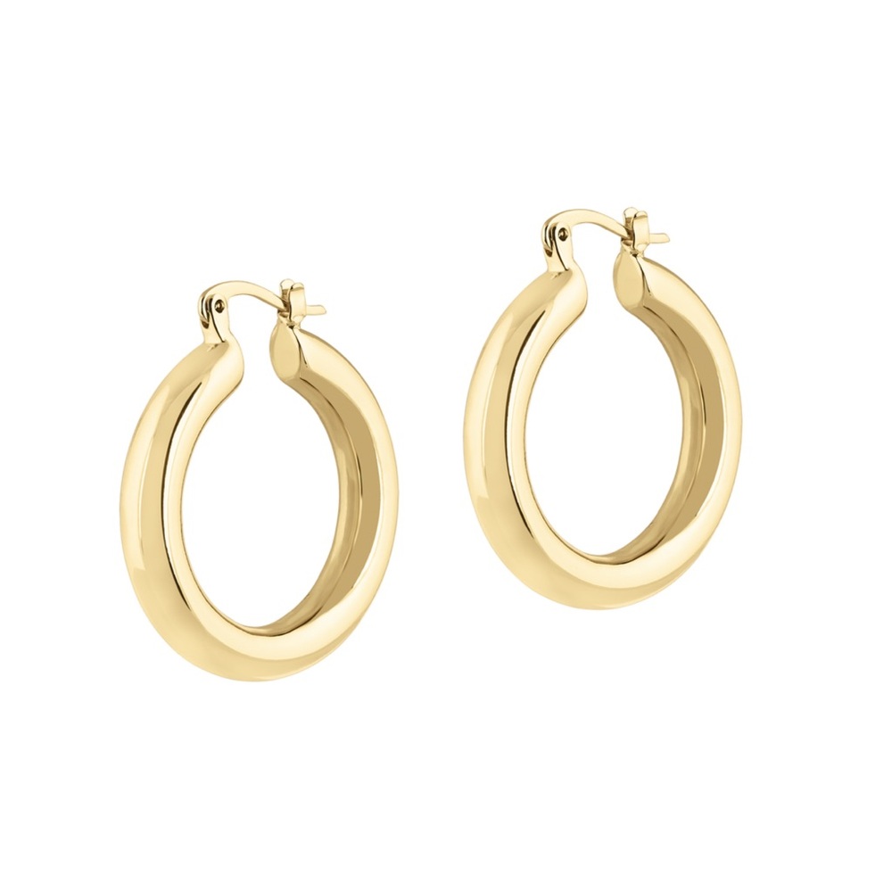 Electric Picks “Hendrix” Hoops Earrings - Picture 1 of 3